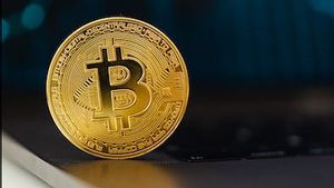 Ajaib Kripto: Bitcoin Tembus 42.000 dolar AS, Tertinggi Sejak Mei 2022!