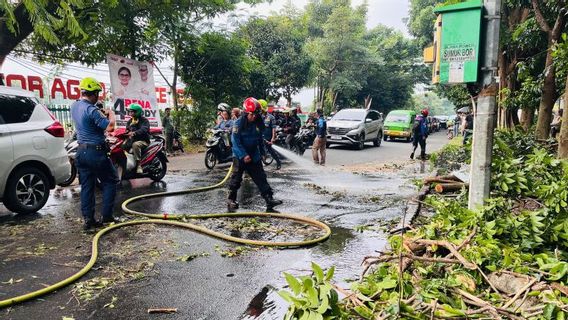 Repeatedly, DPRD Asks Bogor City Government To Evaluate Tree Management Program