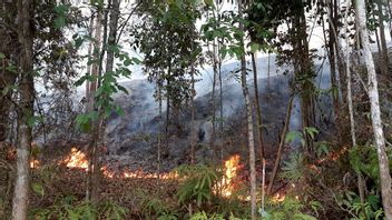东加里曼丹监测的566次潜在的森林和陆地火灾,IKN邻近的Kutai Kartanegara的199个点