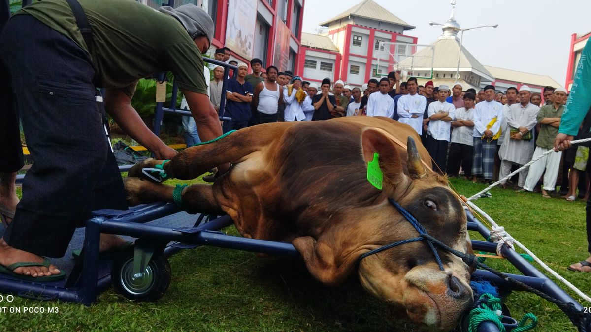 ヤソンナ・ラオリー法・人権大臣がサレンバ刑務所で犠牲の牛を切る