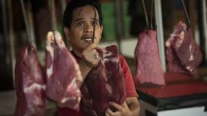 Ketat! Antisipasi PMK Daging Sapi Tidak Boleh Masuk ke Jayawijaya 
