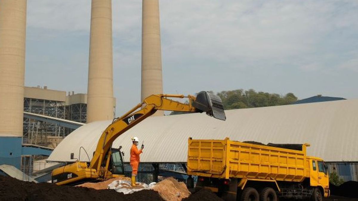 PLN Strengthens Biomass Supply To Replace Coal At PLTU