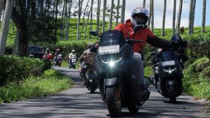 バンクルのMAXIヤマハの販売、若者の最愛のAeroxとNmax