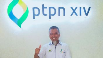 PTPN XIV Genjot Produksi Sawit di Kebun Plasma 30 Ribu Hektare di Sulsel