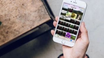 Comment Supprimer Plusieurs Photos à La Fois Sur IPhone, Utilisez L’une De Ces Applications