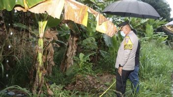 Bau Busuk Ungkap Jasad Misterius di Kebun Pisang Cikupa: Polisi Selidiki Identitas dan Dugaan Pembunuhan