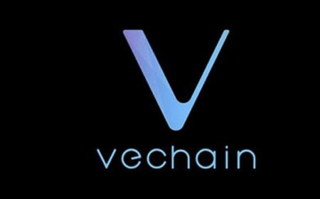 VeChain Jalin Kemitraan dengan Alchemy Pay, VET Bakal Bisa Digunakan untuk Pembayaran di 2 Juta Toko di Berbagai Negara