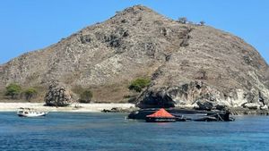 Speedboat Angkut 16 Penumpang Kecelakaan di Long Pink Beach