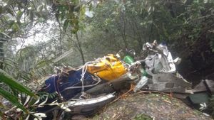Hari Keenam Pencarian, 6 Korban Pesawat ATR Ditemukan di Jurang Bulusaraung