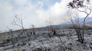 4 Hari Belum Padam, Penyebaran Titik Api Gunung Arjuno Dipicu Angin Kencang