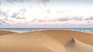 Pantai Oetune, Surga Tersembunyi dengan Gurun Pasir Eksotis di NTT