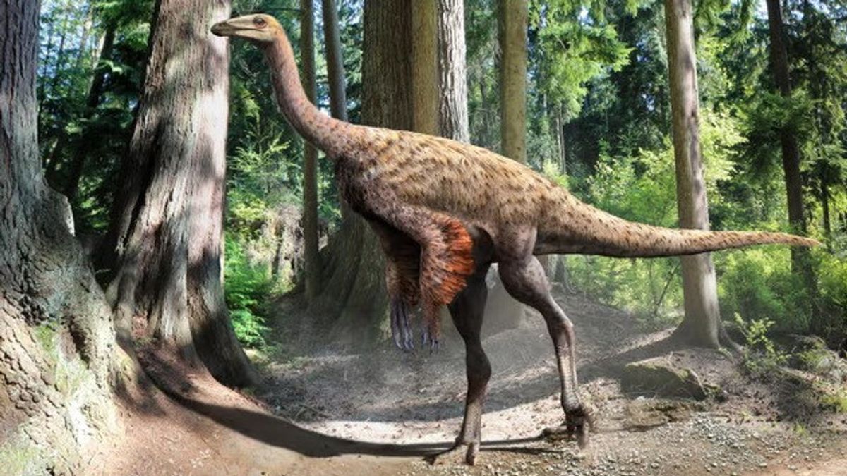 80 Million Year Tail Fossil Reveals Dinosaur Tracks Similar to Camels in Canada