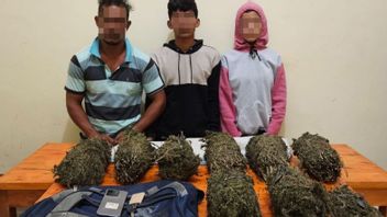 ロクセマウェの麻薬密売人のカップルが逮捕され、8kgの大麻が没収された