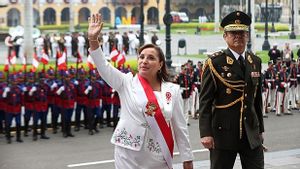 Pemerintah Sementara Peru Tetapkan Status Darurat di Ibu Kota
