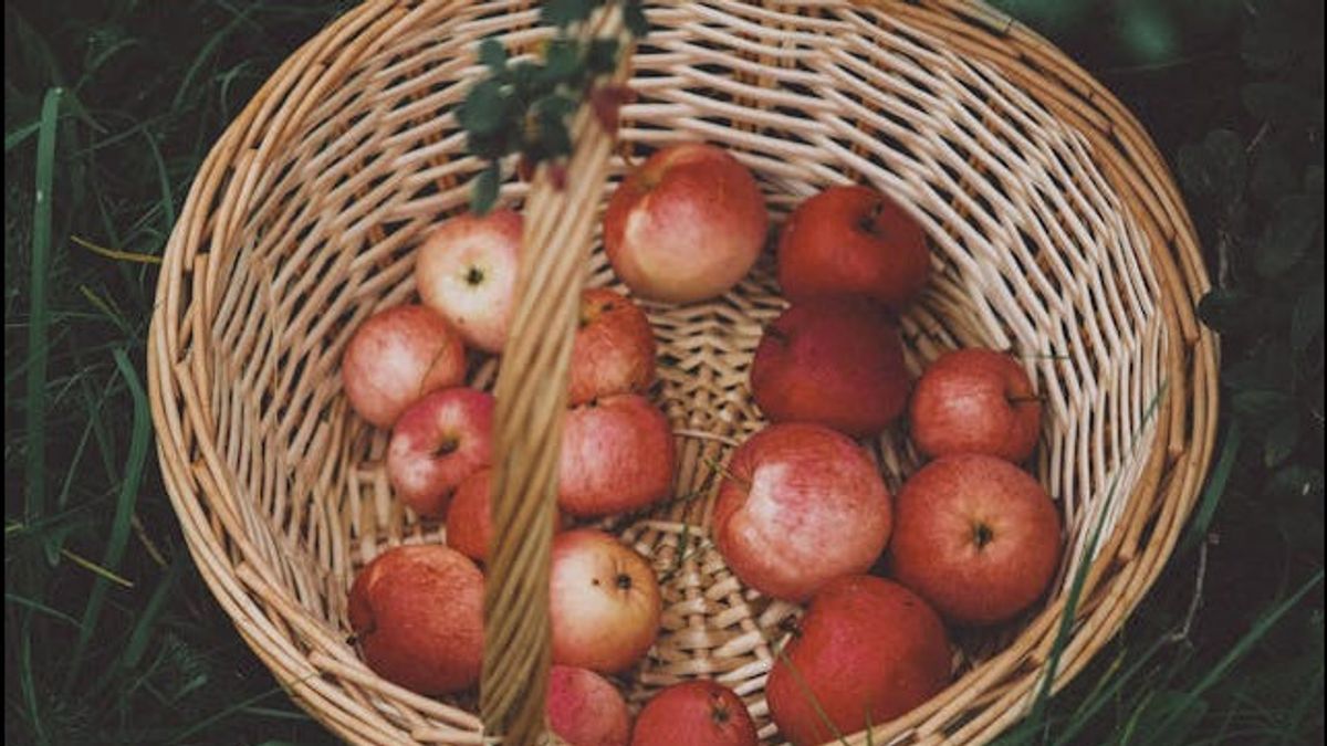 9 Jenis Buah untuk Atasi Dehidrasi Selama Puasa, Ada Melon dan Semangka