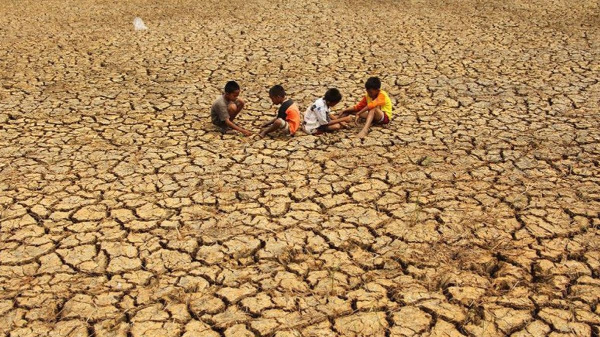 雨のない3ヶ月、インドネシアの18の地域が干ばつに苦しんでおり、NTTで最悪です