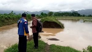 Puluhan Hektare Lahan Pertanian di Tulungagung Terendam Banjir