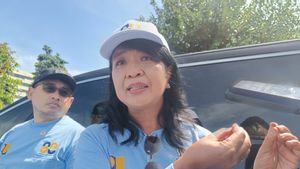 Wamen PU Sebut Sedang Hitung-hitung Besaran Diskon Tarif Tol Libur Nataru