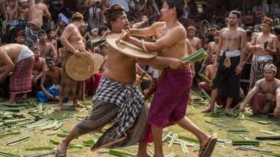 La guerre pandan, une tradition qui reste à Bali malgré des blessures