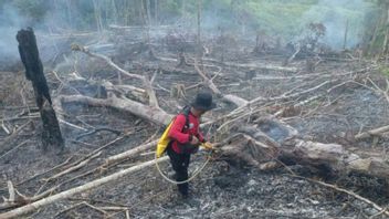 Kaltim Masih Musim Hujan Tapi BMKG Deteksi 8 Titik Panas Berpotensi Karhutla Hari Ini