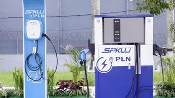 PLNのボスは、ナタルの間に電気自動車の電力消費量が500%に急増したと主張しています