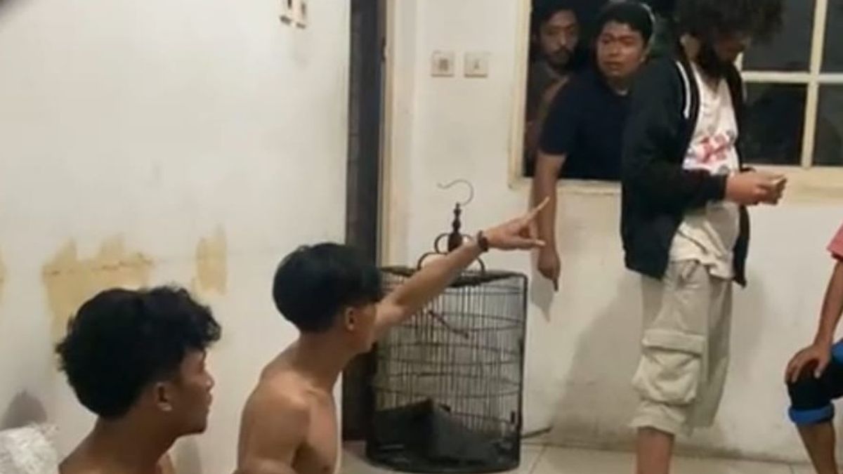 سكان بامولانغ يتعرضون للاضطهاد من قبل لصوص الطيور Ong خلال عمل Pergoki في أحد المساكن