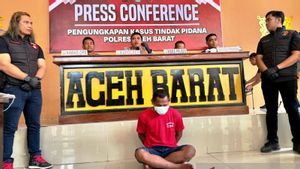 Tukang Bangunan di Aceh Barat Bunuh Majikan karena Upah Tak Sesuai, Ditangkap di Bengkulu