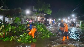4 Villages in Bondowoso Submerged by Flood, 900 Houses Submerged