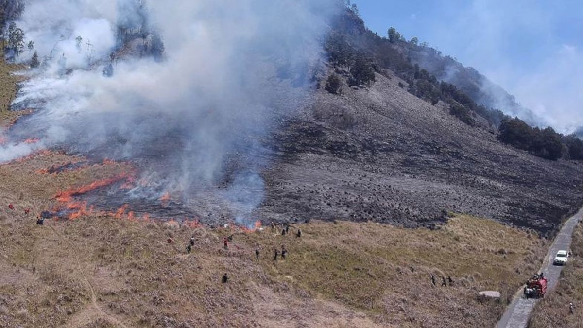 TNBTS大厅在森林火灾后开放布罗莫山旅游接入