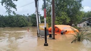 Hujan Lebat, Banjir Susulan Rendam 5 Kecamatan di Aceh Timur