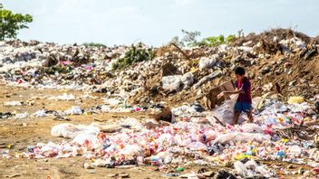 政府需要更加关注废物管理。