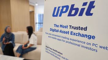 Belajar dari Kesalahan, Tips Upbit Indonesia agar Investor Tak Terjebak Volatilitas Bitcoin