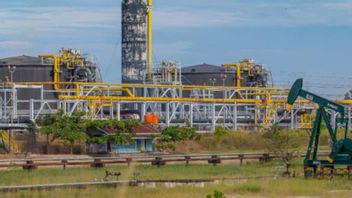Pertamina Ambil Alih Blok Rokan Setelah Dikuasai Chevron Selama 97 Tahun
