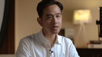 Hari Ini Wapres Gibran Dijadwalkan Tinjau Langsung Kapal Tenggelam di Selat Bali