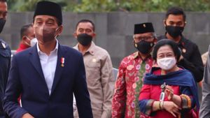 Ditanya 'Beda Pilihan' dengan Megawati, Jokowi Hanya Tertawa: Aneh-aneh Saja