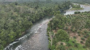 2 Warga Pesisir Selatan yang Terseret Arus Sungai Ditemukan Tewas