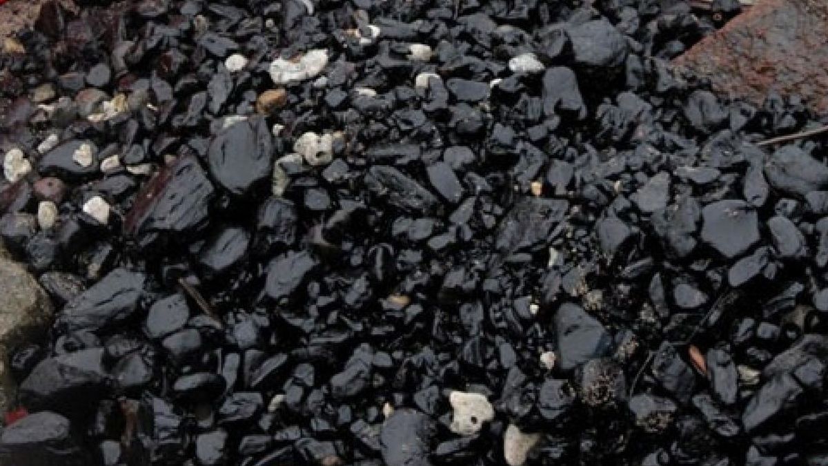موظفو وزير الطاقة والثروة المعدنية يقولون إن الطلب على الفحم من الدول الآسيوية لا يزال مرتفعا