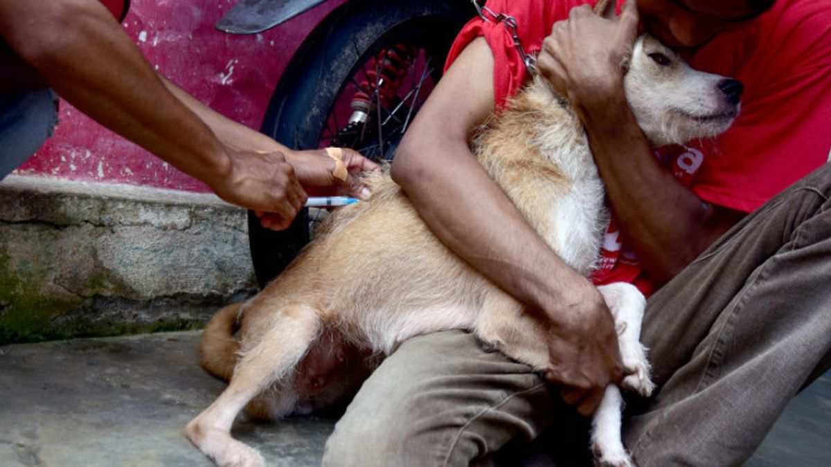 卫生部表示，在印度尼西亚的34个省份中，只有8个省没有狂犬病