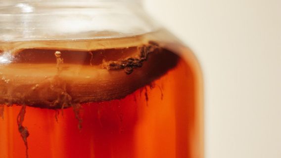 5 Manfaat Teh Kombucha, Minuman Fermentasi yang Rasanya Manis