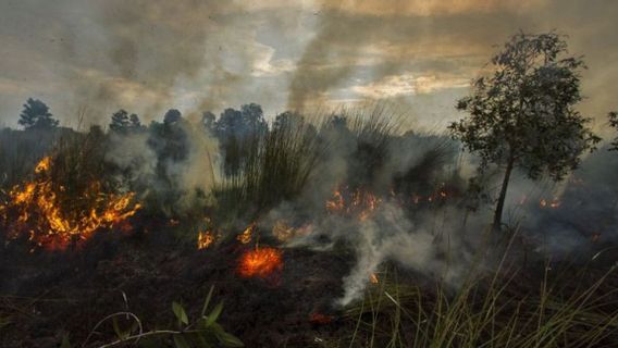 Satgas COVID-19 Babel Diaktifkan Lagi, Tapi Kini Tangani Karhutla