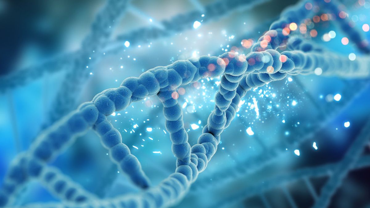 Pembelahan Sel Mitosis: Berikut Uraian Beserta 4 Tahapannya