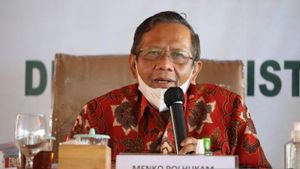 Jubir Jokowi Pastikan Revisi UU ITE Sudah Ditindaklanjuti Menko Polhukam
