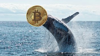 ビットコインクジラはBTCをプライベートウォレットに移動し始めます