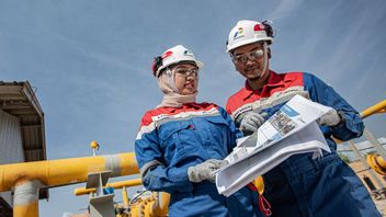 حصلت مجموعة PGN على 7 جوائز Stevie لعام 2025 ، مؤكدة السمعة في Kancah Global