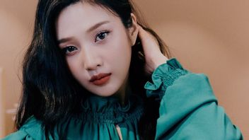 Joy Jadi Anggota Red Velvet, Debut Solo Menanti