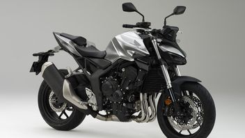 Honda Launches CB1000 Hornet At EICMA 2023, Here's The Excess