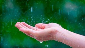 Air Hujan di Jakarta Tercemar Mikroplastik, Ini Penjelasan Pakar IPB