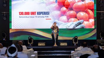 Koperasi Banyak, Tapi Kontribusi ke PDB Rendah: Puan Dorong Reformasi Perkoperasian
