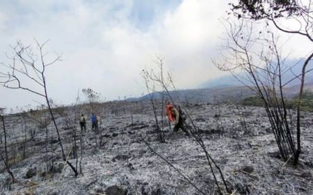 BNPB Sebut Karhutla di Lereng Gunung Bisa Memicu Banjir Bandang