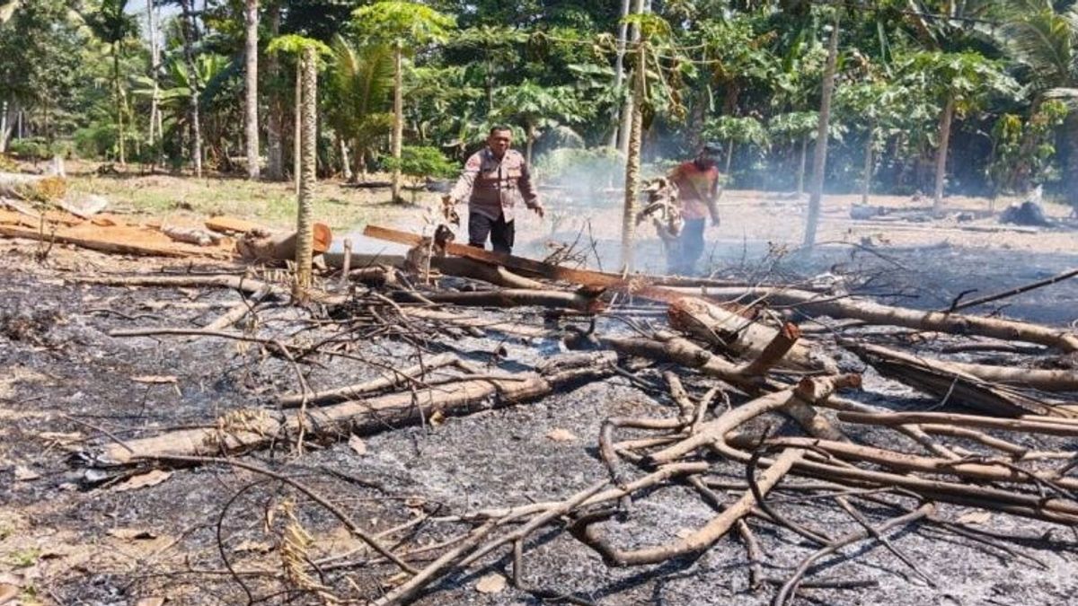 西海岸Bengkunat的森林和陆地火灾警察